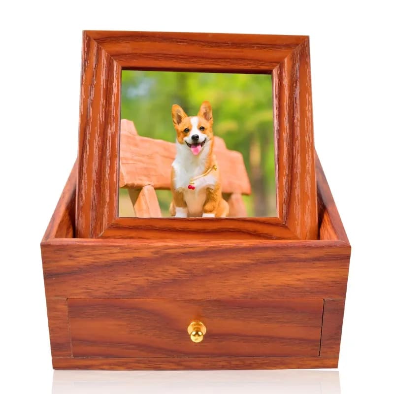Puppy Kitten Pet Funeral Box with Photo Frame Pet Commemorative Pet Urn Puppy Cat Commemorative Box