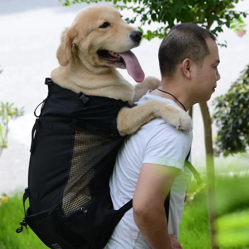 Zaino Trasportino per Cani, Zaino Frontale in Rete Traspirante per Escursionismo, Bicicletta, Moto, Borsa Leggera da Viaggio per Animali Domestici
