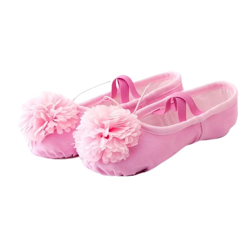 CLYFAN Girls Pink Flower Ballet Shoes Canvas Soft Split Sole Dance Shoes Children Practice Dance Slippers