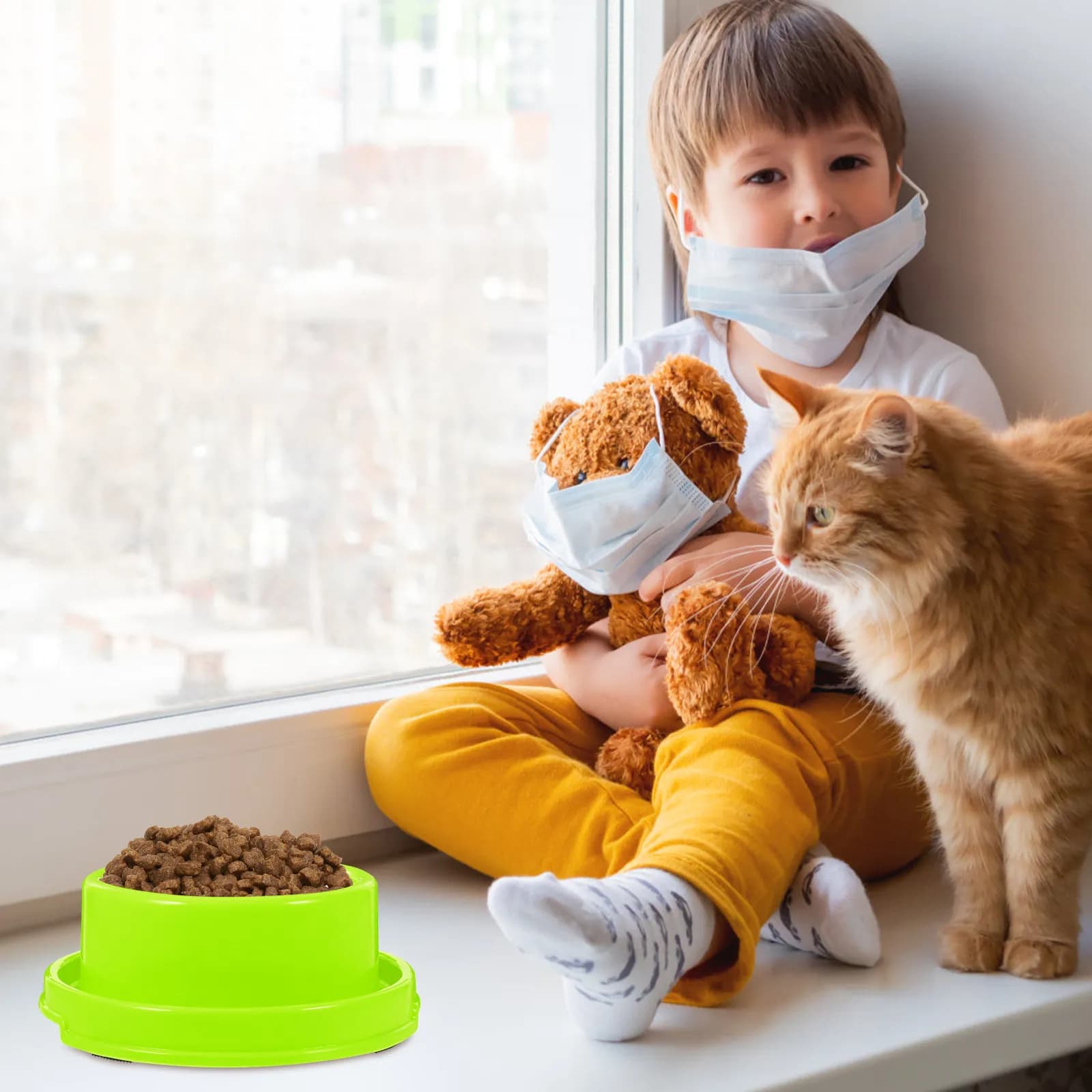 Ciotole Circolari in Plastica Anti-Mosche per Alimenti per Animali Domestici, Ciotola Verde per Cuccioli, Gatti e Cani di Piccola Taglia, Facile da Usare