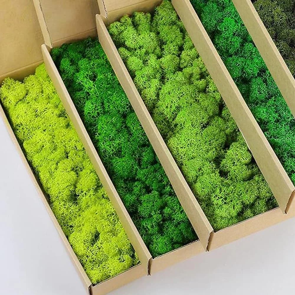 20-200g Artificial Green Plants Fake Grass Eternal Life Moss Grassfor Home Living Room Garden Decor Mini Landscape DIY Crafts