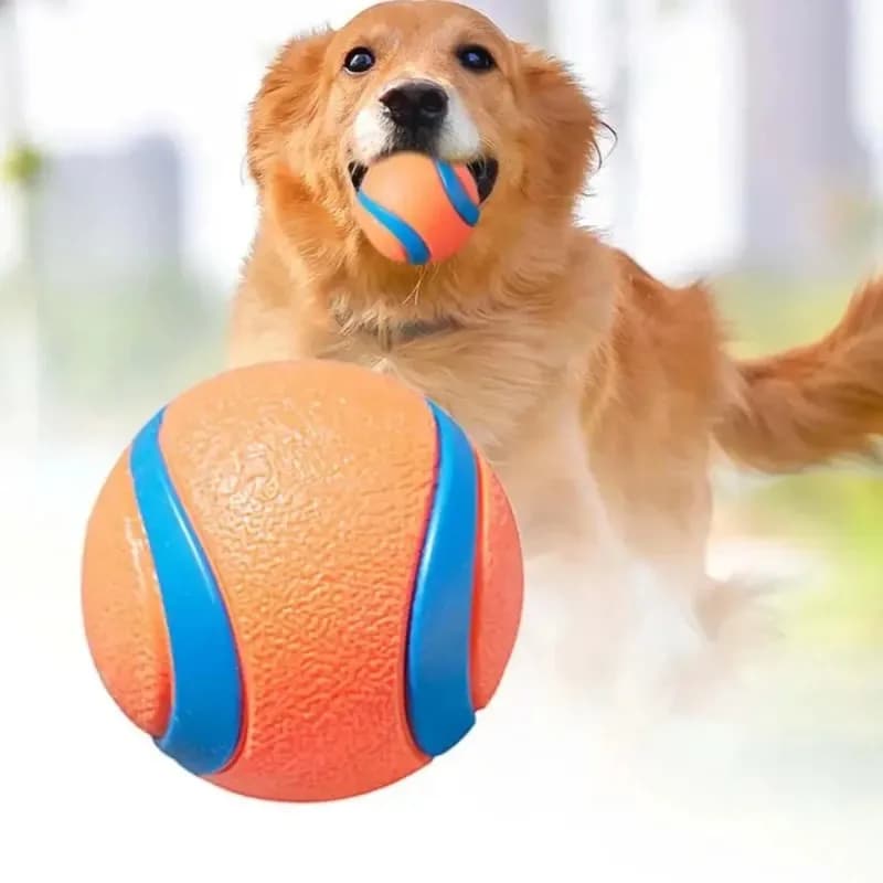 Palla giocattolo per animali domestici Palla da recupero per cani Sfera sferica elastica infrangibile per digrignare i denti Palla da salto Prodotti e accessori interattivi per animali domestici