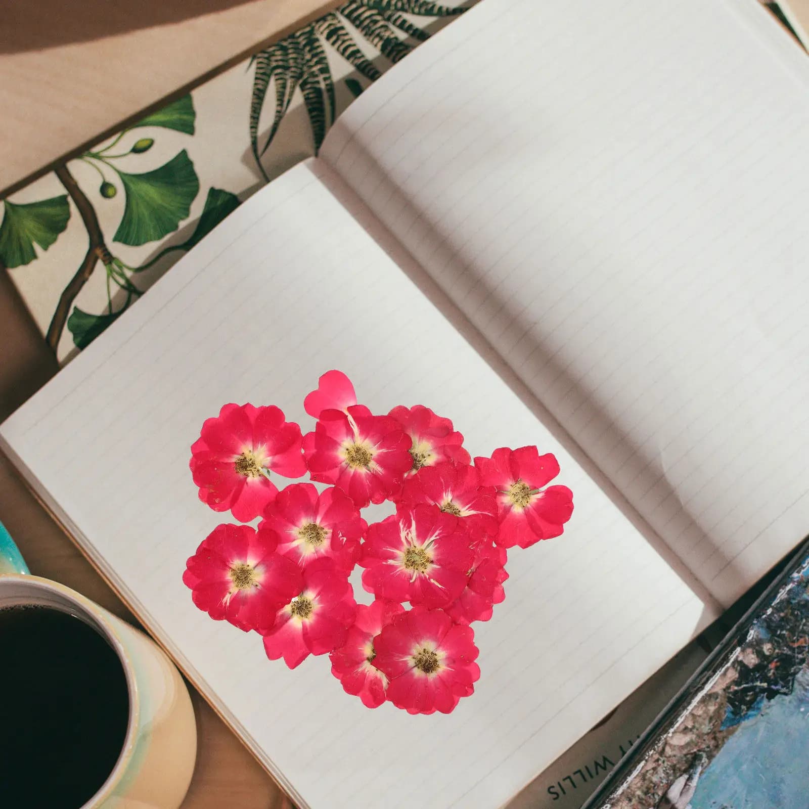 Kit di 12 Fiori di Rosa Essiccati Naturali per Creazioni Fai-da-Te, Gioielli in Resina, Nail Art, Pittura in Rilievo, Matrimoni e San Valentino