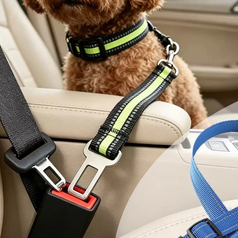 Cintura di Sicurezza per Cani da Auto, Imbracatura di Sicurezza per Animali Domestici con Cintura Ammortizzante e Linea Riflettente, Lunghezza Regolabile Adatta a Tutti i Cani