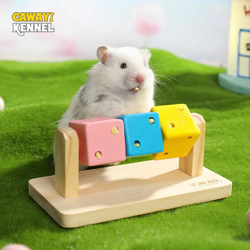1pc Divertente Giocattolo Da Masticare Interattivo A Forma di Cubo di Rubik In Legno Colorato per Piccoli Uccelli Da Animali Domestici Pappagalli Criceti Giocattoli di Sollievo Dal Noia