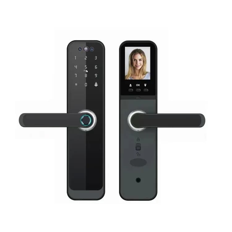 2024 Prezzi in fabbrica Smart WiFi Serratura per impronte digitali Cats Eye Schermo per fotocamera Porte in legno App Scheda di rete Tipo di chiave Dati cloud