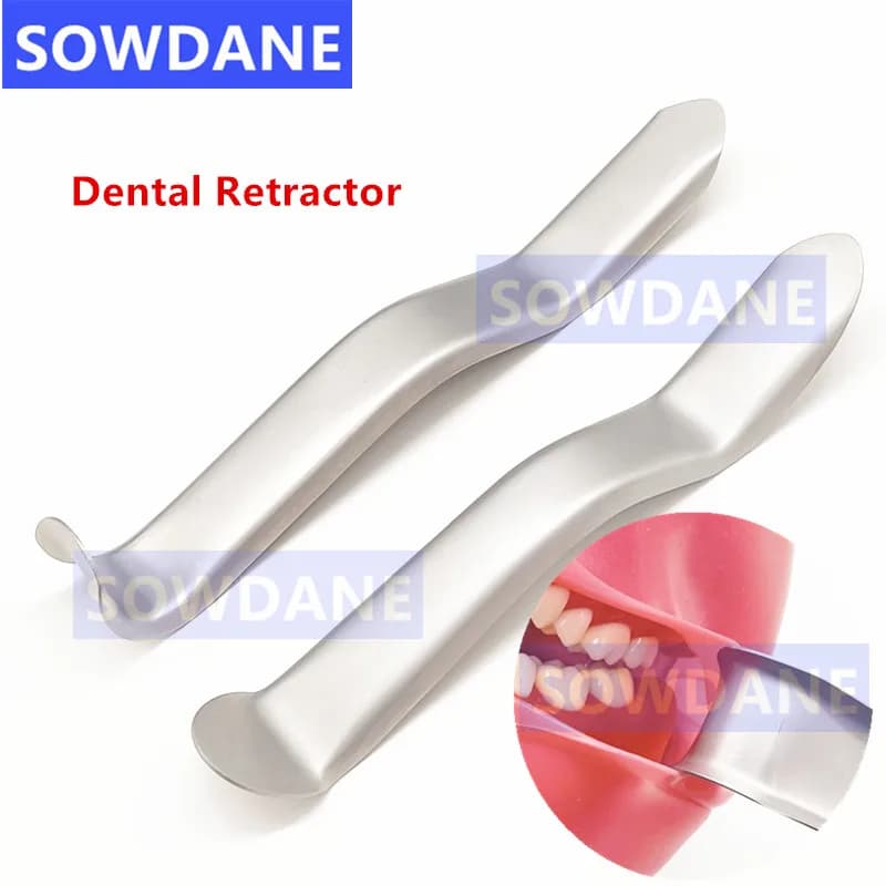 Divaricatore per labbra dentali a forma di S Strumento per aprire la bocca in acciaio inossidabile Strumento per dentista Morsetti per ganci per labbra Sbiancamento dei denti Orale
