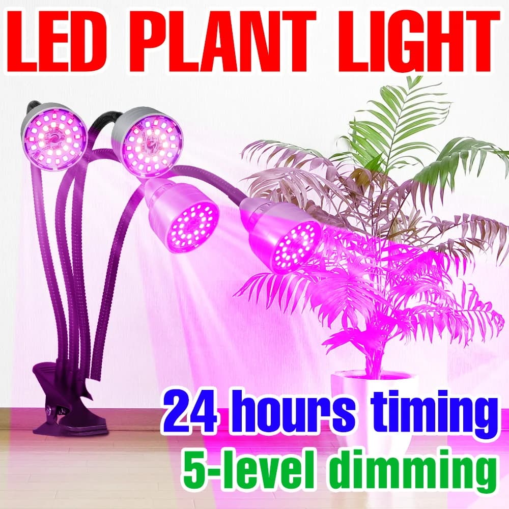 5V USB Complete Spectro Coltivation LED Lights, Interior Plant Lamp, Serre Lighting, Vase Flowers, Semenzai