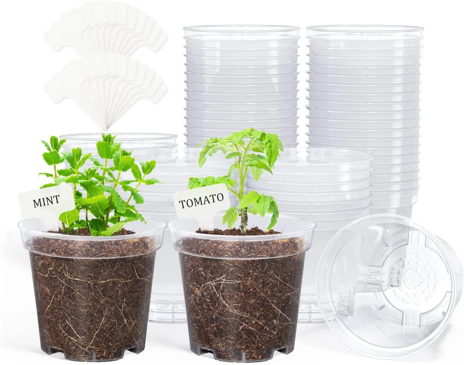 Transparent Plant Vases, 4 Inch Vase for Planting Plastic Seeds with Draining Holes, Container for Flowers and Seeds
