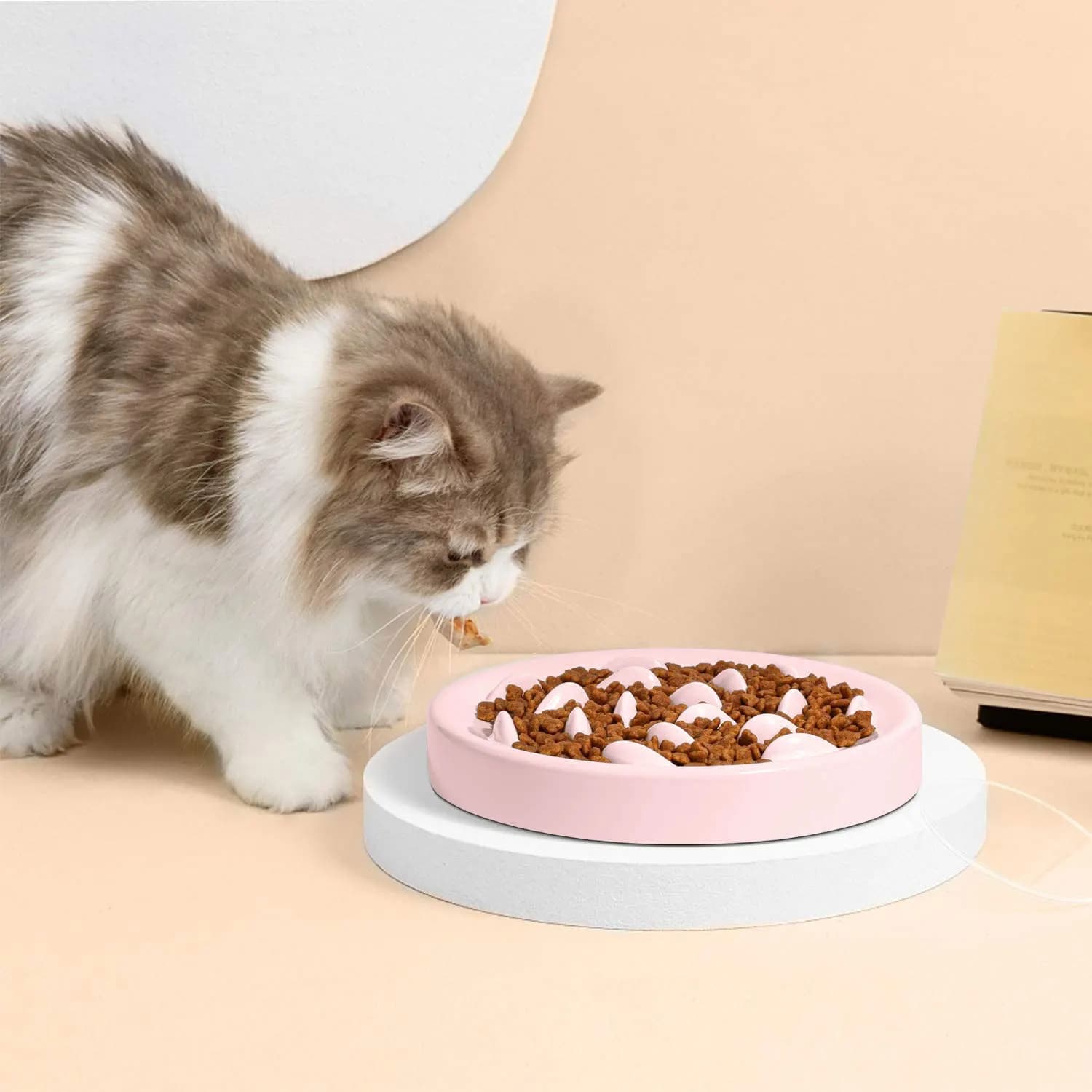 Slow Food per cani e gatti Pet ciotola per gatti di riso Anti-sfregamento sana ciotola per cani Slow Food per cani e gatti forniture per animali domestici