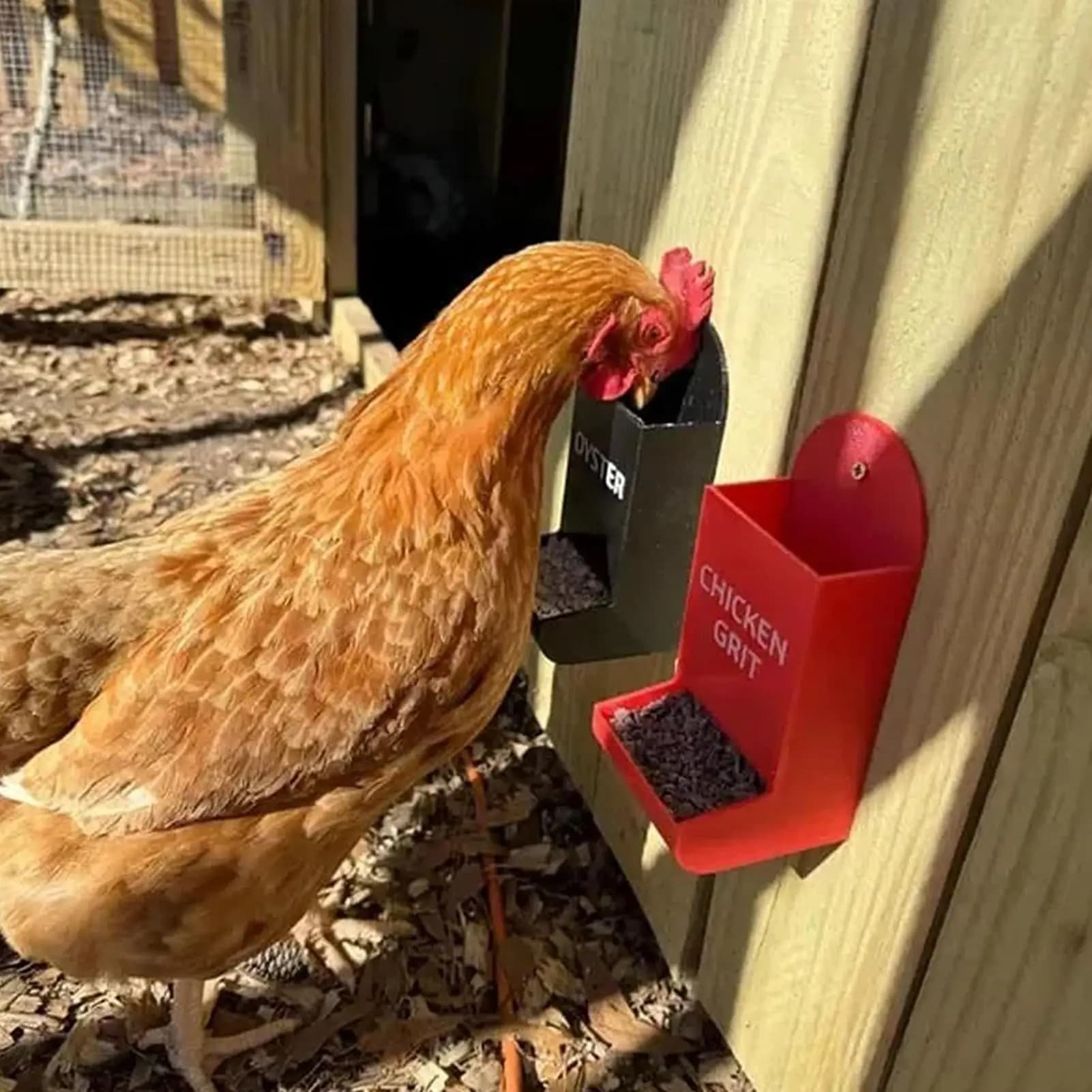 Mangiatoia per ostriche e grana per polli Contenitore per alimenti per anatre Contenitore per pollo appendibile per cortile agricolo 2 pezzi Cibo per anatre