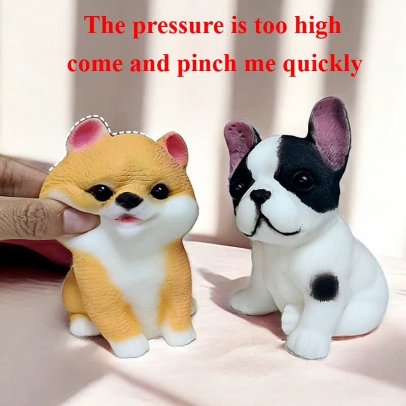 Giocattoli da spremere Regalo antistress Giocattolo non tossico per cani rimbalzanti Giocattolo riutilizzabile per cuccioli di rimbalzo per giochi sensoriali per bambini