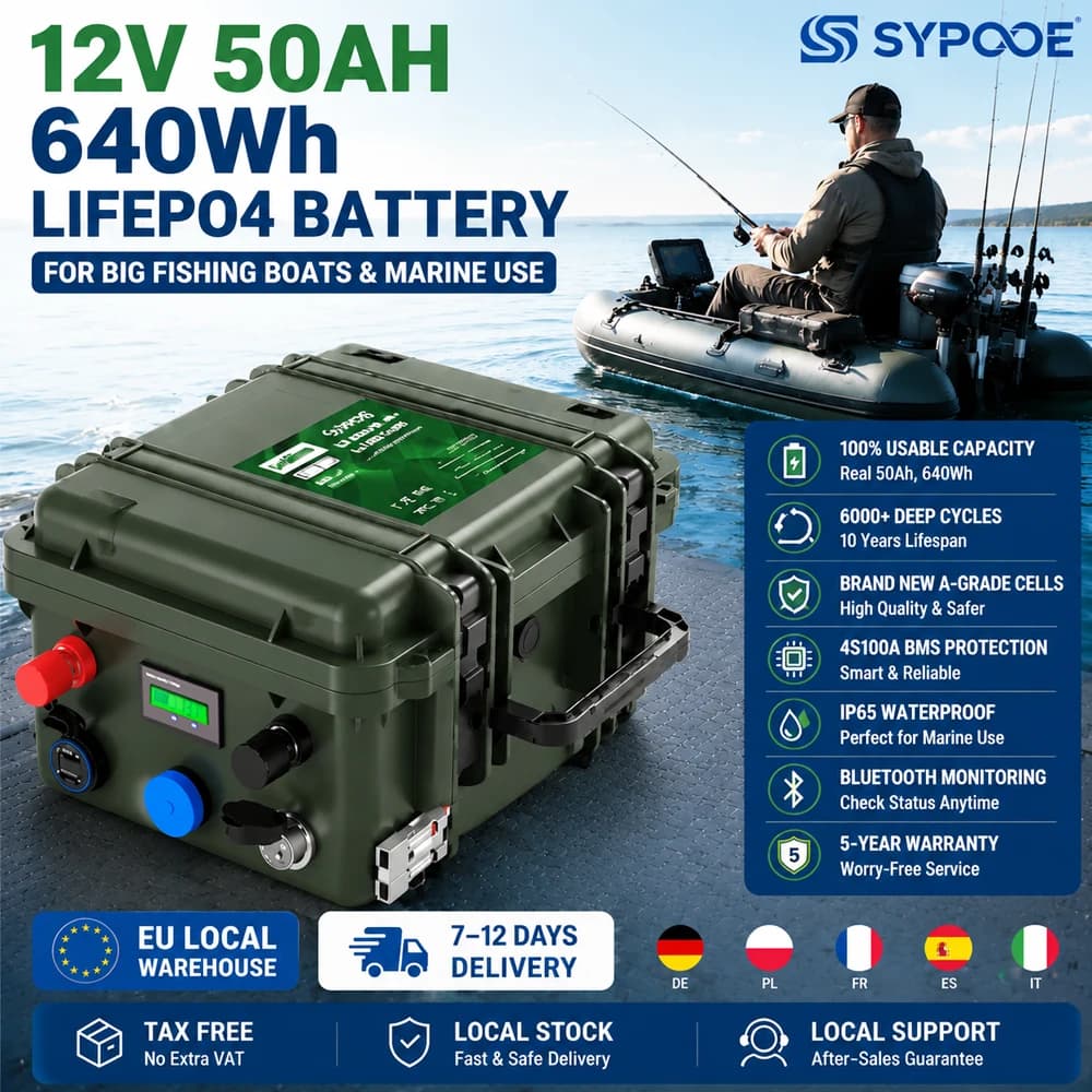 12V 50Ah LiFePO4 640Wh 12.8V LFP Battery Pack USB PD 6000+ Cycle Bluetooth BMS IP65 Portable Fish Boat Lithium Battery EU Stock