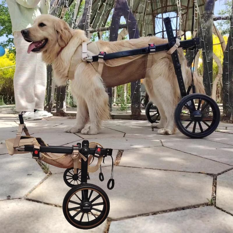Sedia a rotelle professionale per cani per il recupero post-chirurgico, imbracatura regolabile e sedile traspirante, ruote antiscivolo di grandi dimensioni