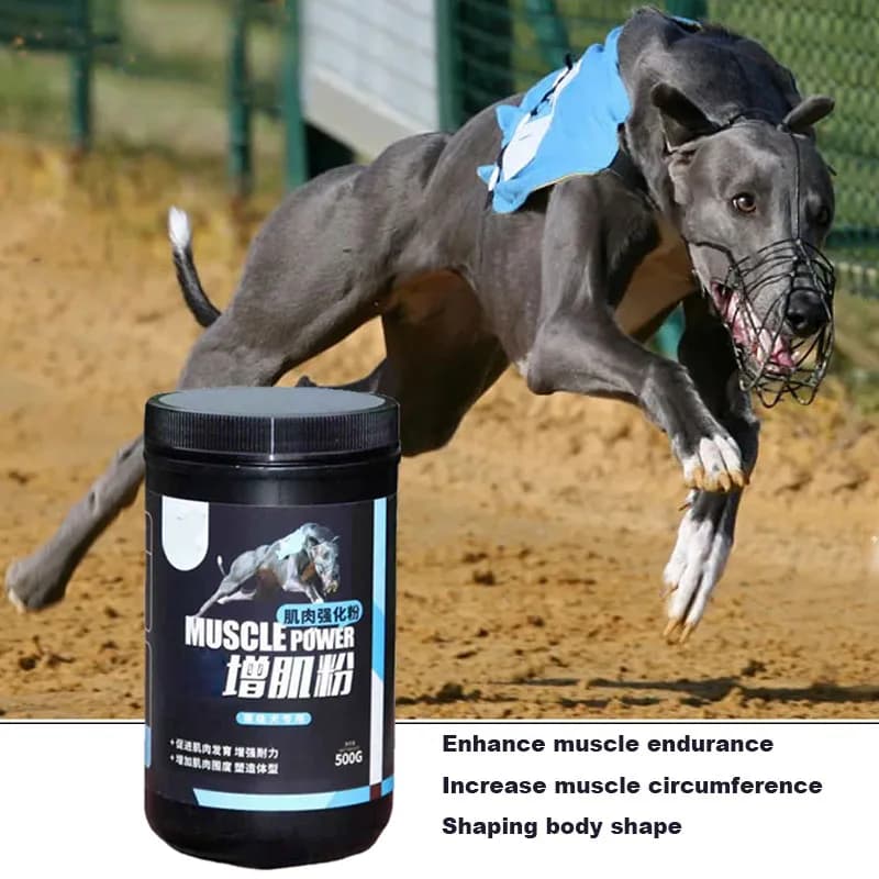 Professional Protective Powder for Dogs, Increase Strength and Resistance, Nutrition for Running Dogs, Bully, Pitbull, Greyhound, 500g