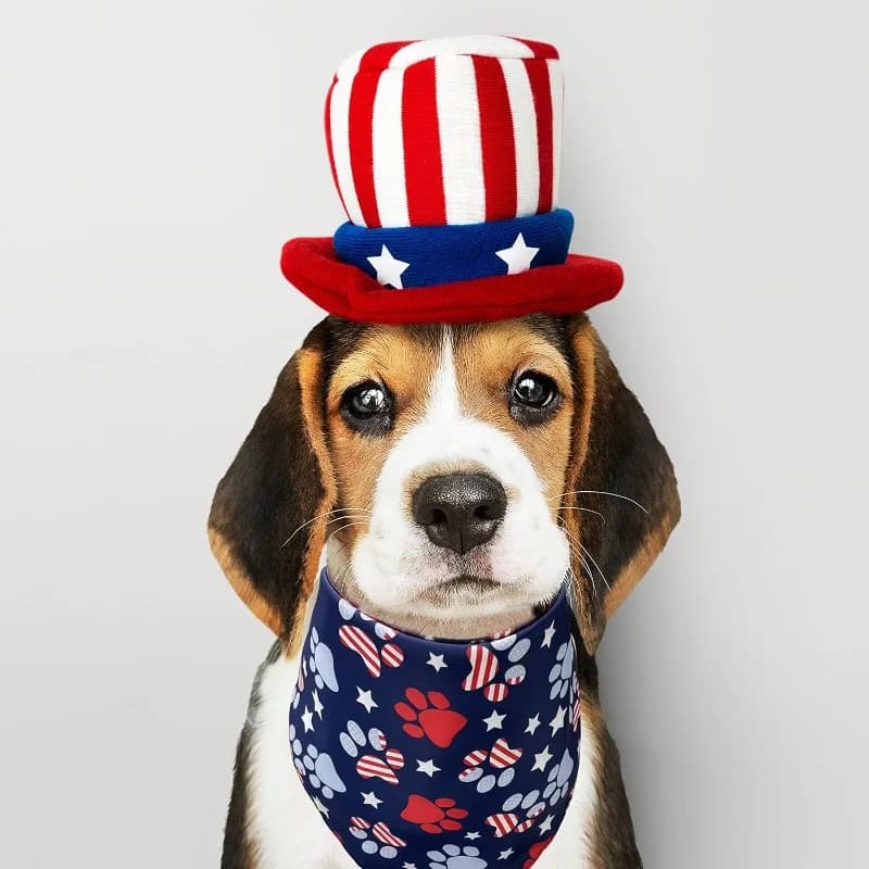 Bandana Patriottica per Animali Domestici, Sciarpa Triangolare Regolabile Unisex per Cani di Taglia Grande, Media e Piccola, Gatti, Cuccioli, per Feste e Uso Quotidiano