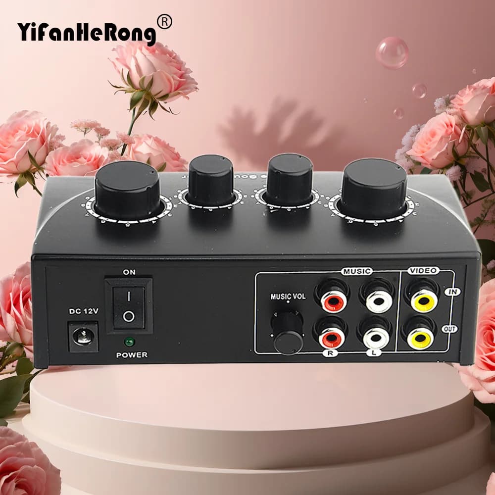 Doppie ingressi microfoni Mixer audio portatile per amplificatore e microfono Karaoke Ok Mixer con spina USA UE