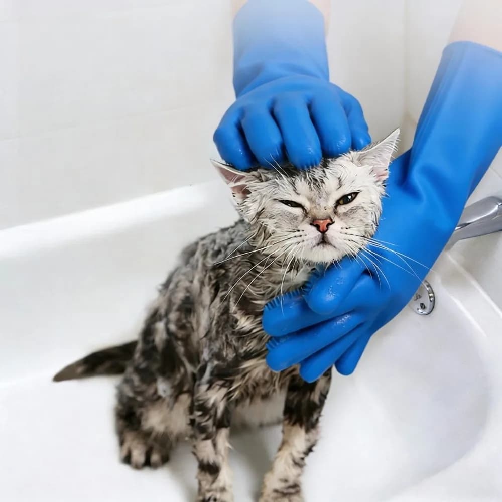 Set di 6 Guanti in Silicone per il Bagno di Cani e Gatti, Spazzola Massaggiante e Spazzolino per Denti, Morbido e Non Tossico, per Uso Domestico