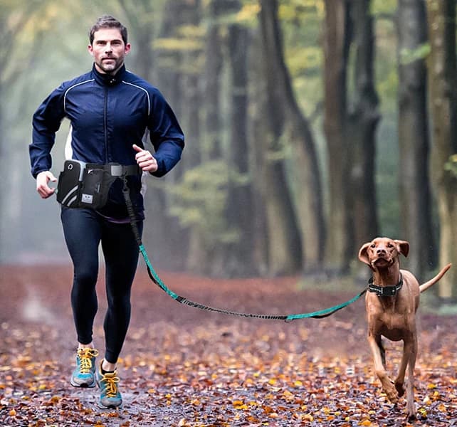 Cintura di piombo per guinzaglio per cani con corda da addestramento per passeggiate a mano libera per esterni per fare jogging