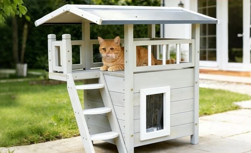 Double-layer windproof cat climbing frame nest solid wood villa clearance reinforcement material castle imported rainproof cow