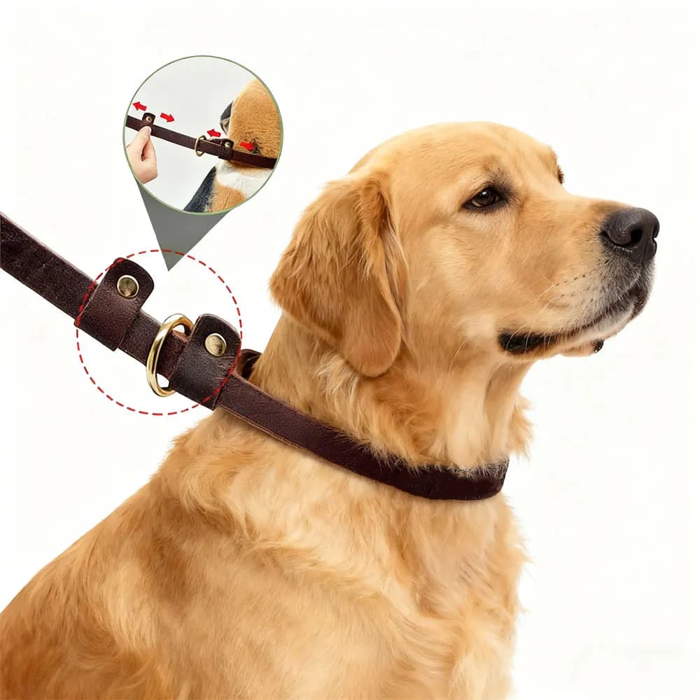 Guinzaglio per cani in vera pelle Collare per animali antiscivolo regolabile resistente all'usura per addestramento all'aperto Camminare Viaggi Animali di taglia media