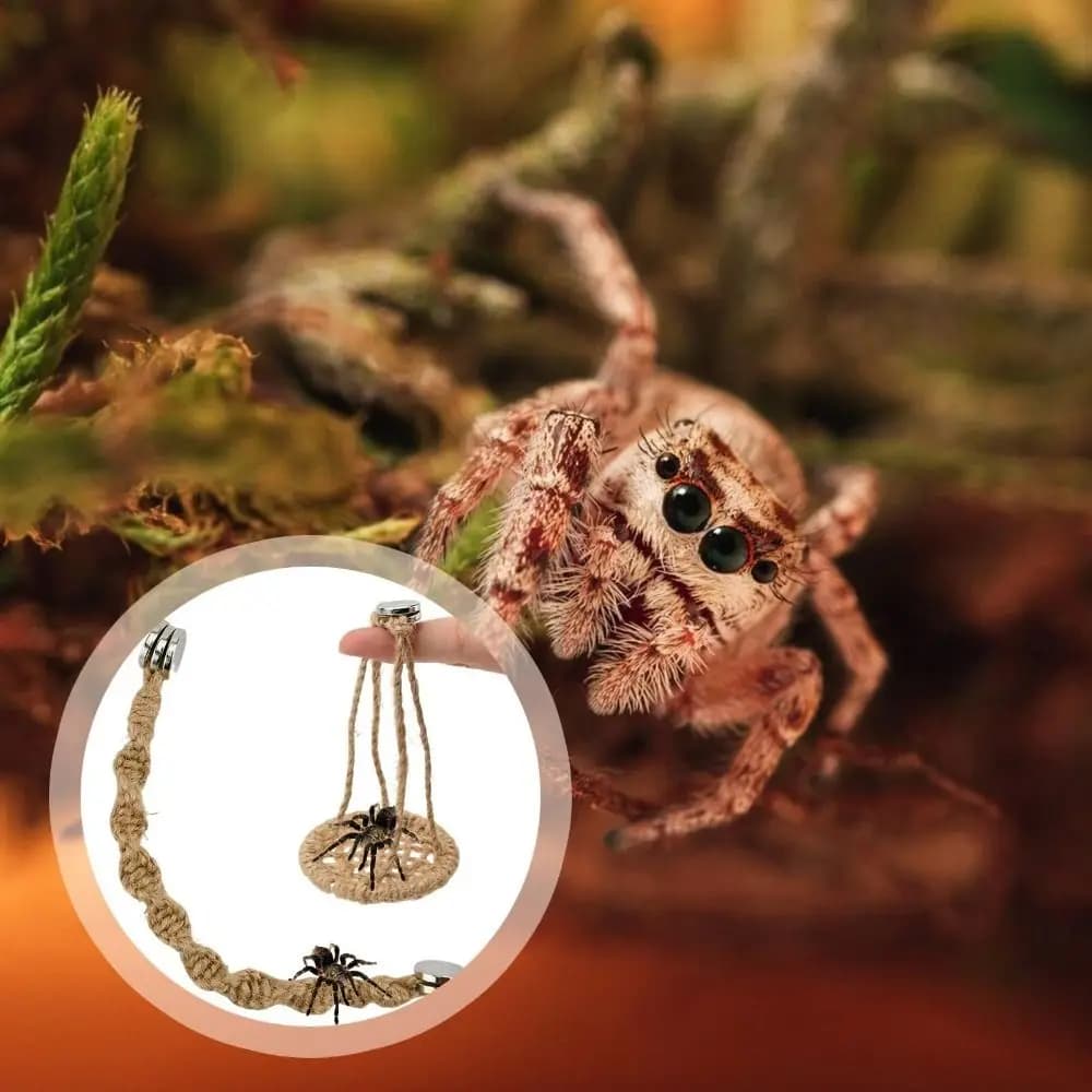 Hangable Jumping Spider Ropes Multi-Function Handmade Reptile Bridge Swings Non-toxic Hermit Crab Climbing Enclosure