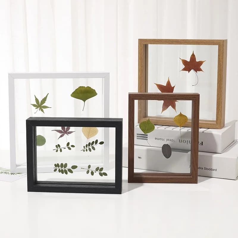 Double-Sided Glass Photo Frame Square Plant Specimen Carving Display Stand Modern Simplicity Density Board Picture Frame