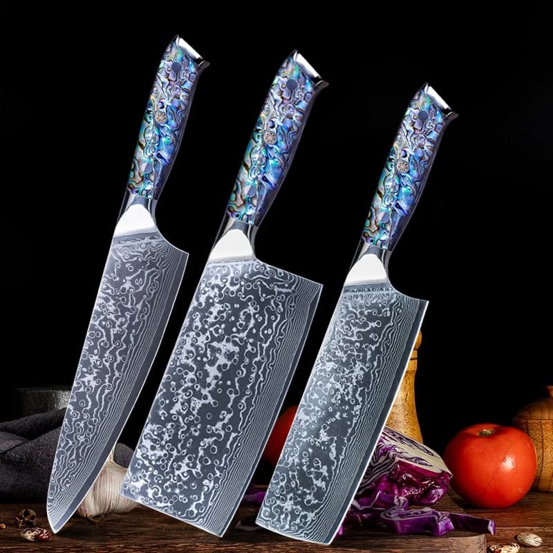 Set di coltelli da chef professionali 67 strati in acciaio di Damasco VG10 con nucleo in acciaio Mannaia per carne super affilata Utensili da cucina da cucina