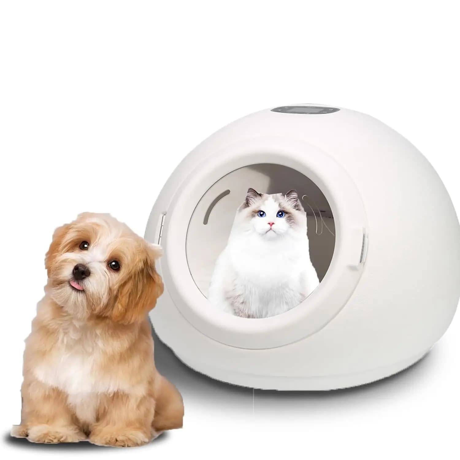 Asciugacapelli per Animali Domestici Ultra Silenzioso da 55L, Modello 25-50 ℃ Macchina di Sicurezza Automatica con Controllo della Temperatura per Cani e Gatti 220V, Personalizzabile