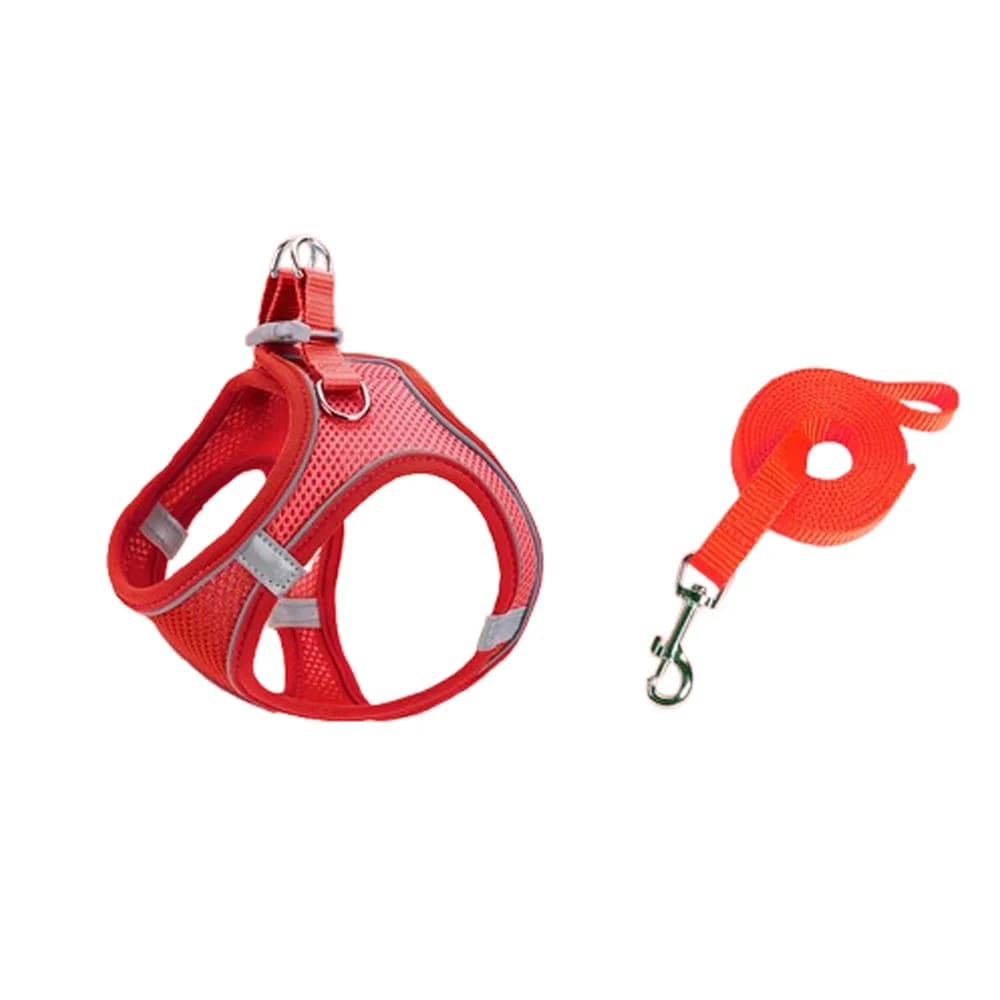 Set Guinzaglio e Pettorina Regolabile per Cani, Riflettente, Comoda, Traspirante, Anti-Fuga, Collare e Pettorina per Animali Domestici