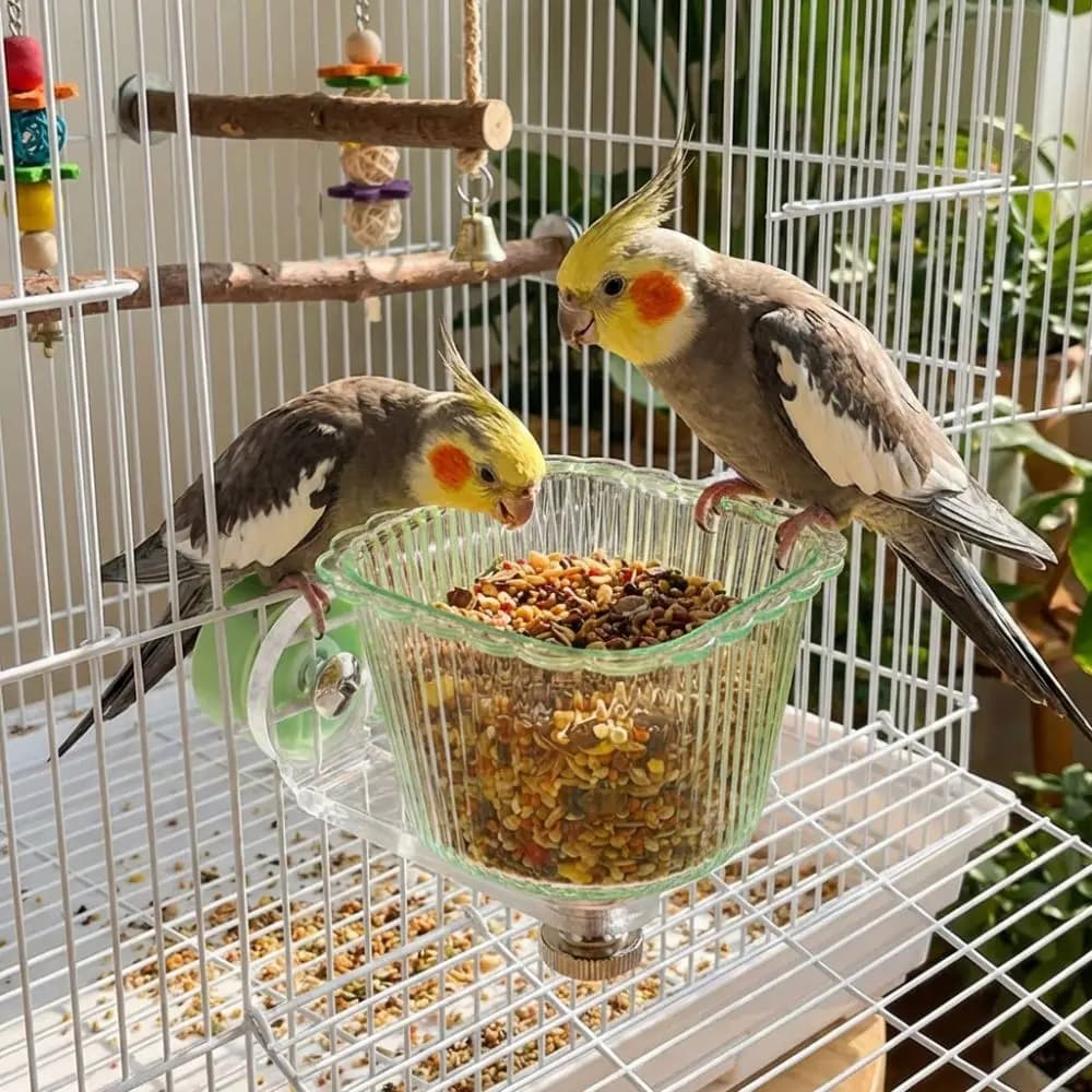 Contenitore per Cibo per Uccelli Trasparente, Mangiatoia Magnetica Anti-Schizzo, Ciotola Rimovibile per Gabbia, Mangiatoia Anti-Ribaltamento per Animali Domestici, Piatto per Bere