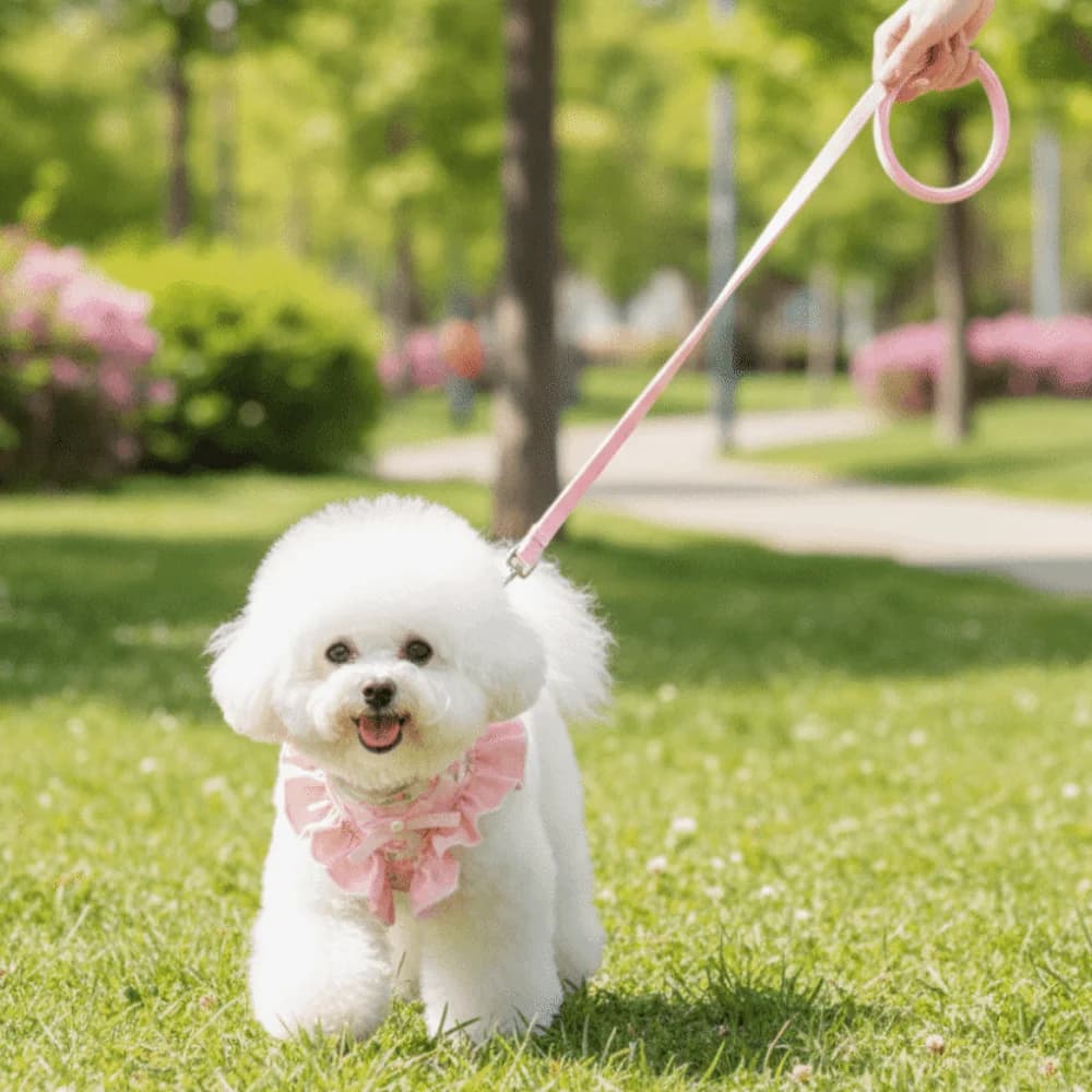 Imbracatura e Guinzaglio Regolabili per Cani, Traspiranti e Confortevoli, con Motivo Floreale, Anti-Fuga, per Passeggiate e Addestramento