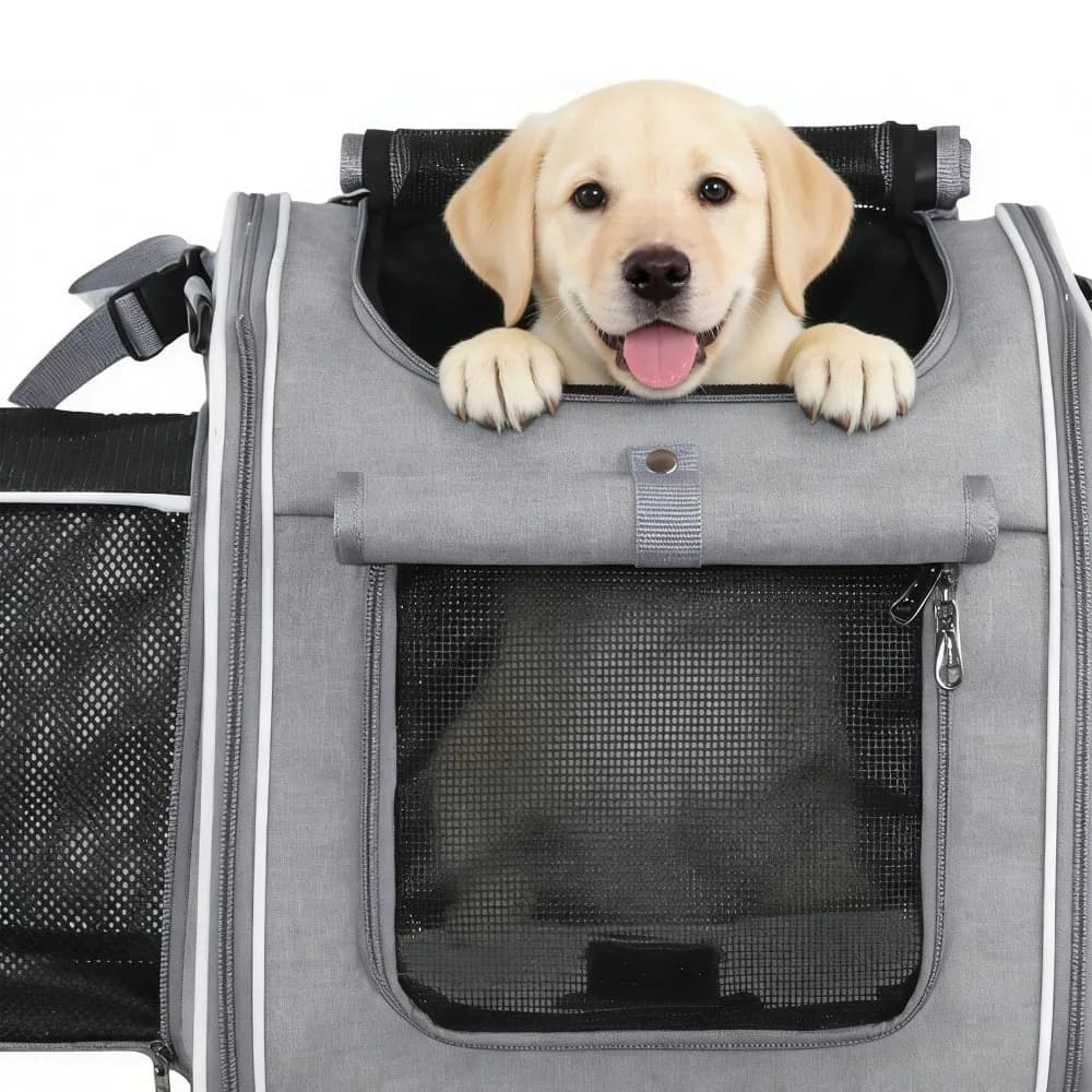Soft Sided Pet Carrier Backpack Mesh Ventilation Expandable Space Dog Bike Basket Multi Opening Foldable Structure