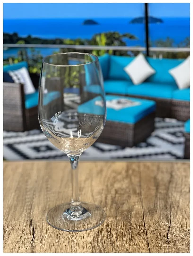 Set di 4 bicchieri da vino in plastica (350ml), senza BPA, in Tritan, infrangibili, per vino rosso e bianco