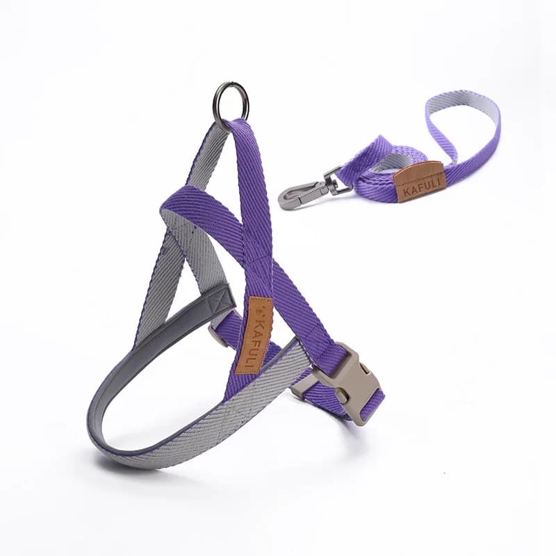 Dog Leash and Harness Set,Adjustable & Comfortable Saddle Harness with Strong Dog Walking Leash Metal Hook for Medium Large Dogs