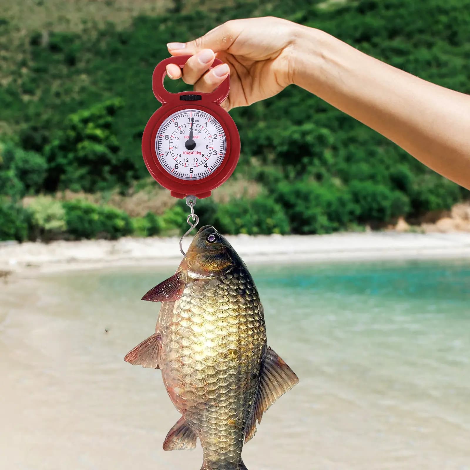 Bilancia Digitale Portatile da 10kg, Compatta in Metallo e Plastica, Alta Precisione, per Viaggi e Pesca