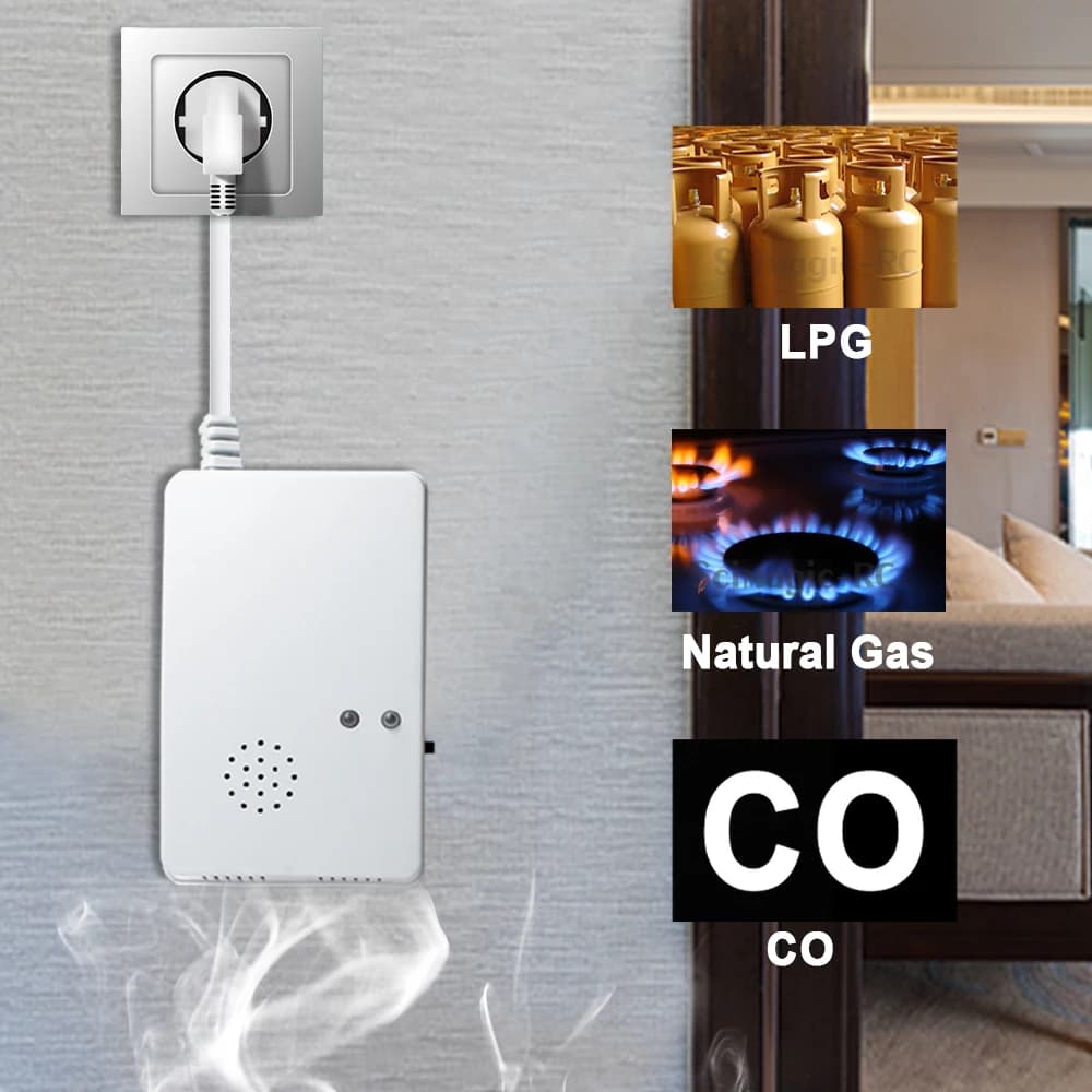 Spina UE Rilevatore Di Gas Naturale E Monossido Di Carbonio Plug In 2-in-1 Co Propano GPL Allarme Sensore Di Perdite Di Gas Combustibile Per La Cucina