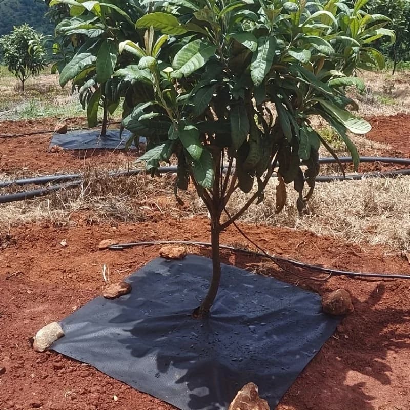 10 Pieces Reusable Tree Weeding Moisturizing Cover-Non-Woven Degradable Tree Protection Mat with Grass Mulching Film
