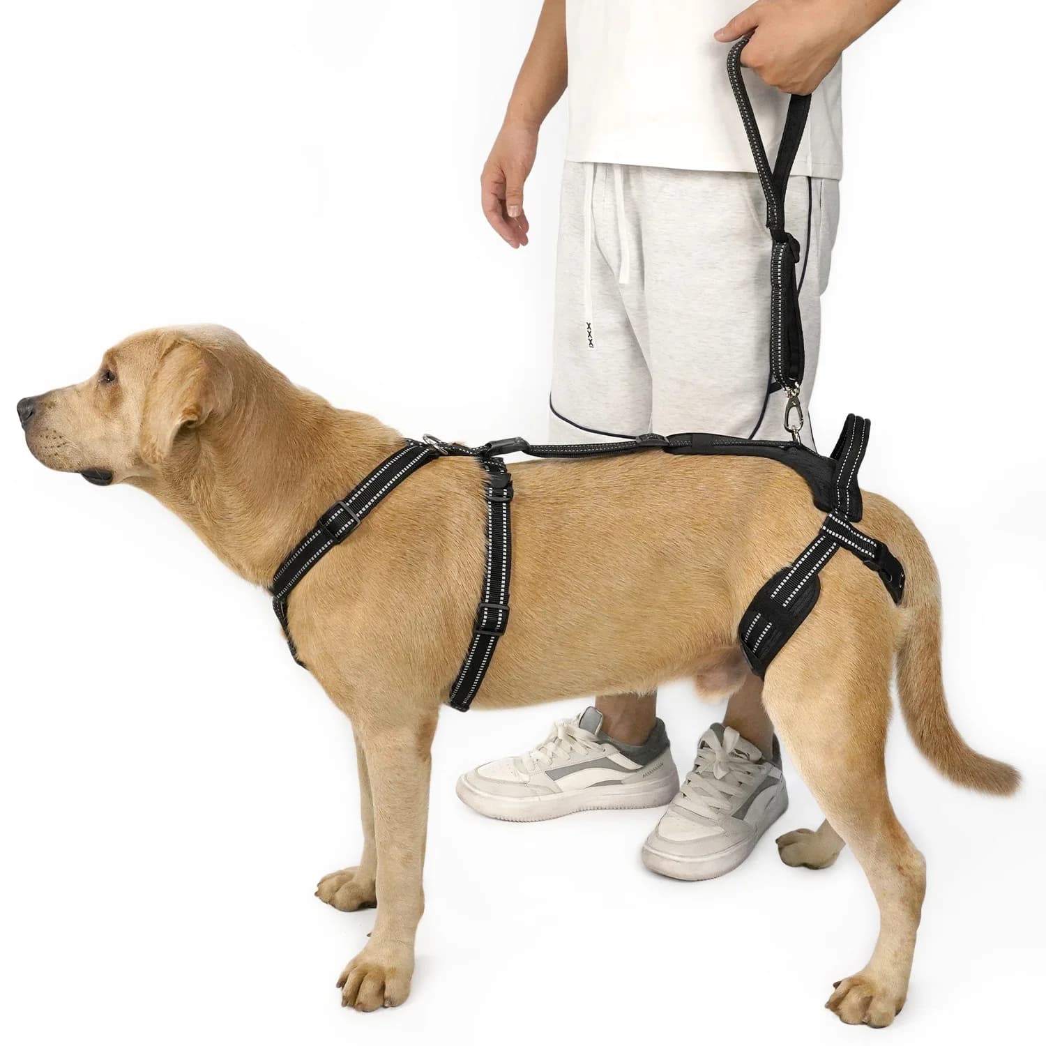 Guinzaglio Riflettente per Cani, Morbido e Confortevole, Resistente per Cani Piccoli, Medi e Grandi, Portatile per Passeggiate all'Aperto, Escursioni e Addestramento