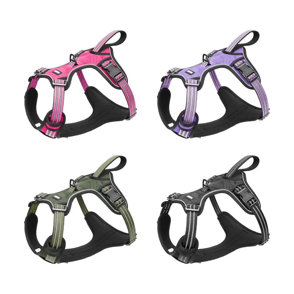 No-Pull Dog Harness and Leash Set, Anti-Jump Safety Vest for Medium Large Dogs, Reflective Heavy Duty Training Pet Harness