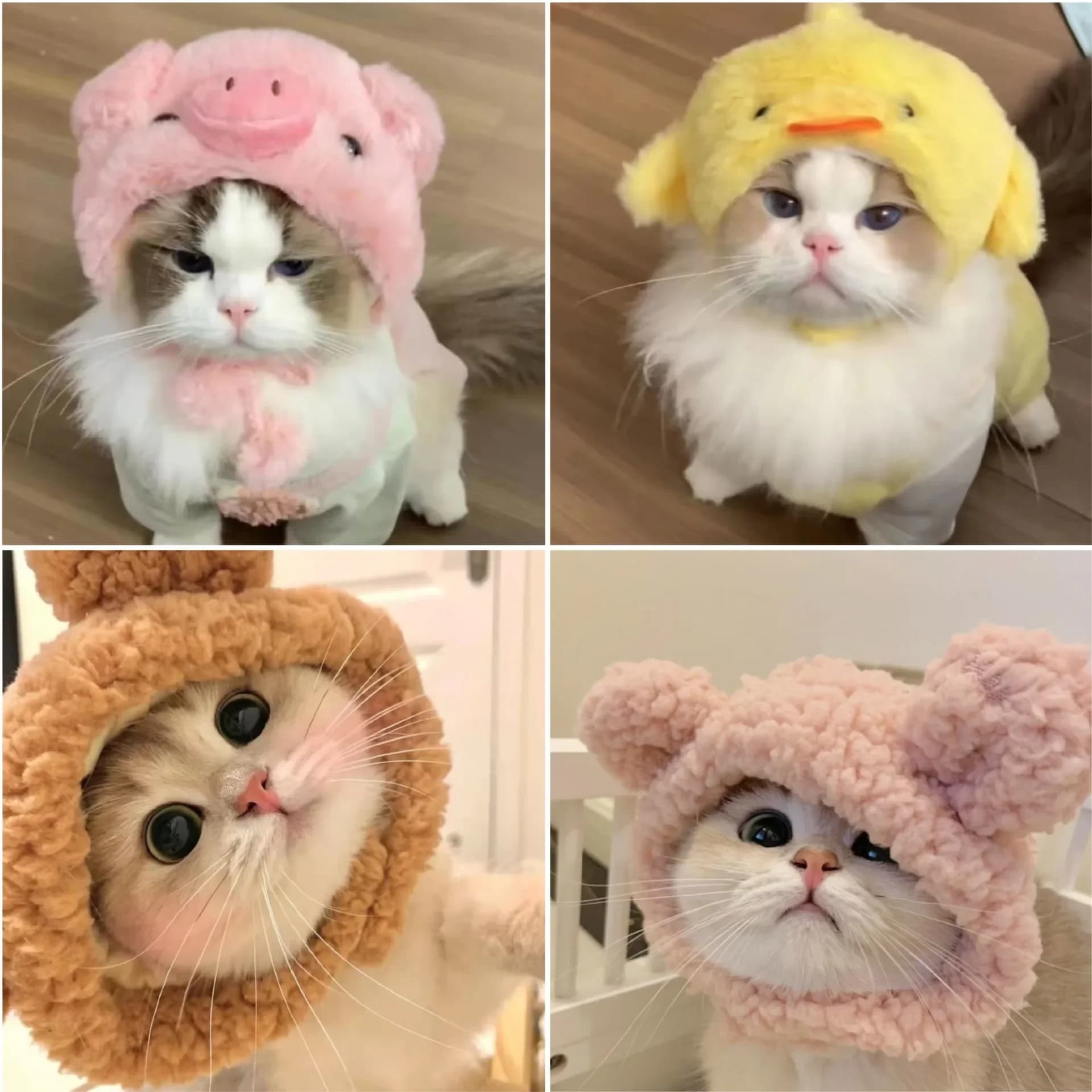 Funny cap for cats bear plush headdress cute cat dog fabric warm headdress animal hat kitten accessories for cosplay costumes