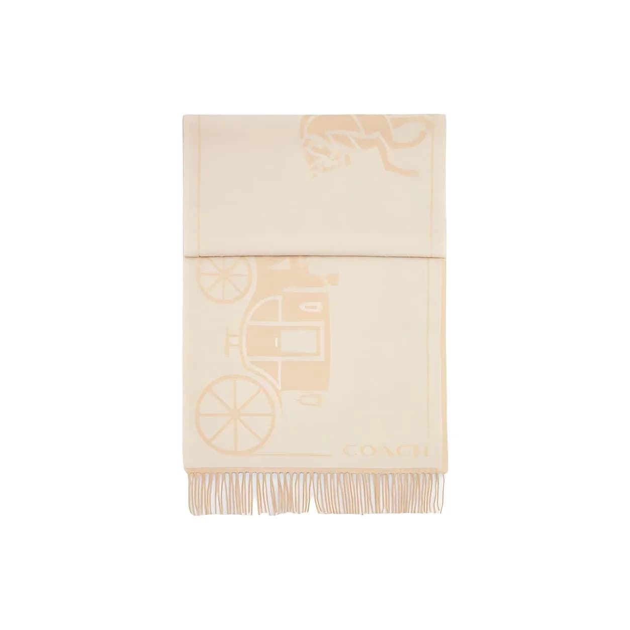 COACH Patterned Print Cashmere Knit Scarves Unisex Beige CU808-CHK