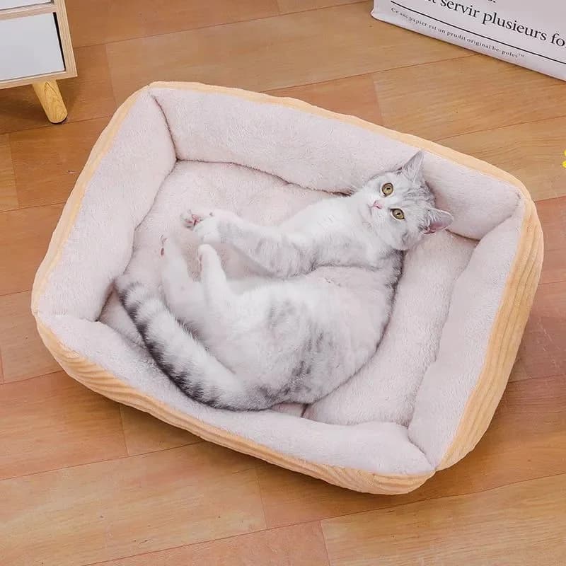 Animali domestici letto per dormire per gatti cuccia per animali domestici cuscino per cane gatto divano per animali domestici forniture per cani cane per animali domestici casa calmante Pad caldo per cucciolo lavabile
