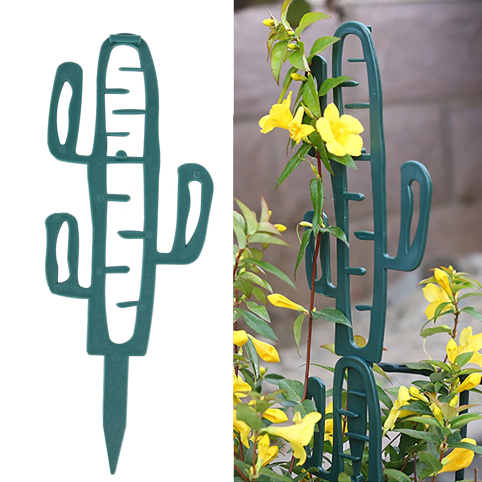 Supporto per piante rampicanti Supporto per fiori Traliccio fisso Giardinaggio Bonsai in vaso Staffa per telaio per piantare Supporto per vite Forma di cactus Monstera