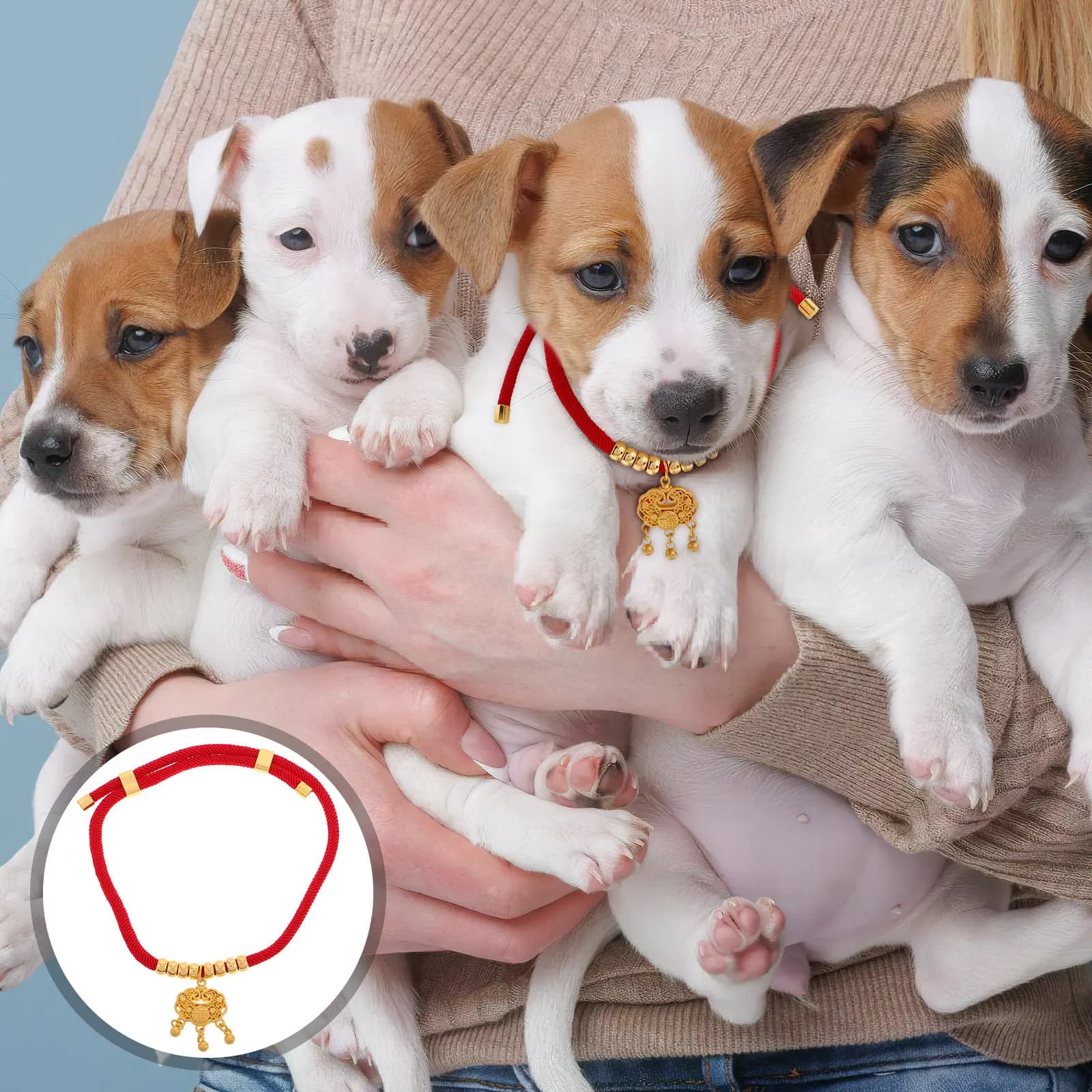 Pet Collar Red Rope Longevity Lock Adjustable Charm for Cats Small Dogs Dog Necklace Dog Necklace Puppy Chain Collar