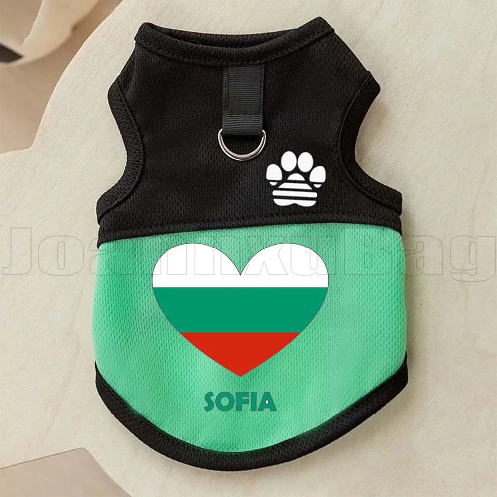 Pettorina a rete Sofia Heart Flag per cani e gatti, abbigliamento estivo da esterno per cuccioli e gattini, gilet per cani con stampa zampa e anello a D per guinzaglio