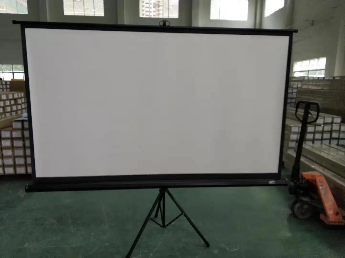 Schermo di Proiezione Portatile 70-150 Pollici Bianco Opaco con Supporto Pieghevole a Treppiede per Campeggio all'Aperto