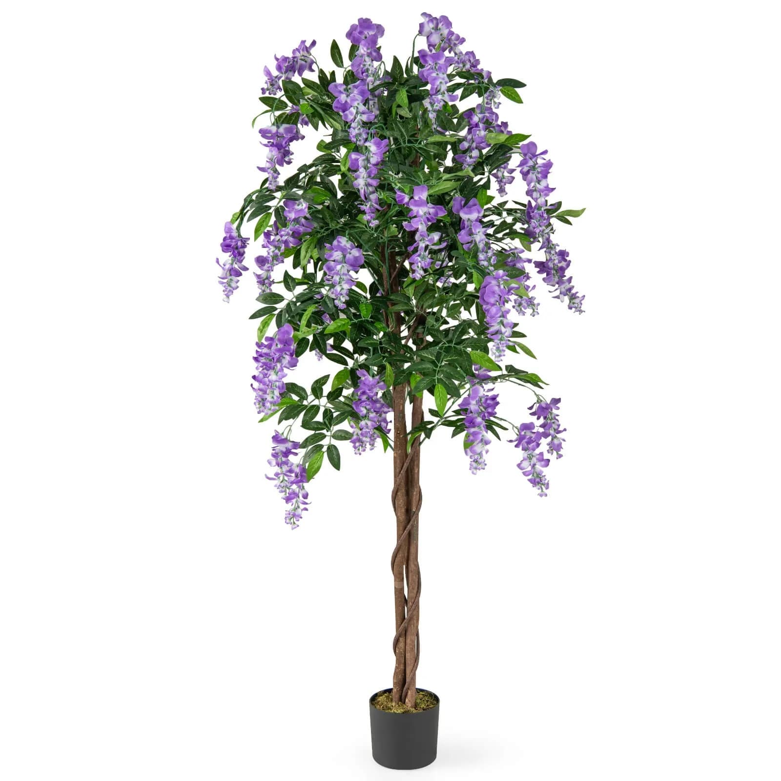 Artificial Ficus Tree 1.68 m high with Fin Glicine Plant in Decorative Vase