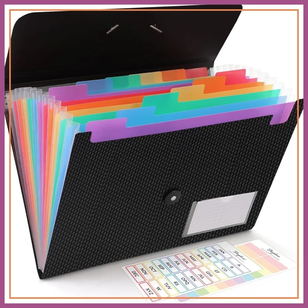 Cartella Portadocumenti Espandibile, Organizzatore a Fisarmonica con 13 Tasche per Formato A4/Letter, con Etichette - Per Ufficio, Scuola, Casa