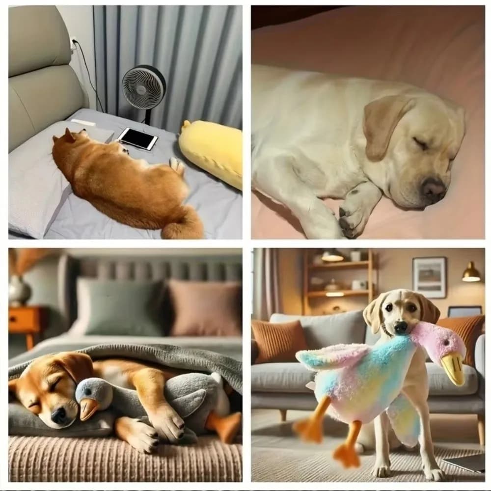 Giocattolo per Cani a Forma di Anatra da 50cm, Morbido e Colorato, Compagno per Animali Domestici, Pupazzo a Forma di Oca per Gatti